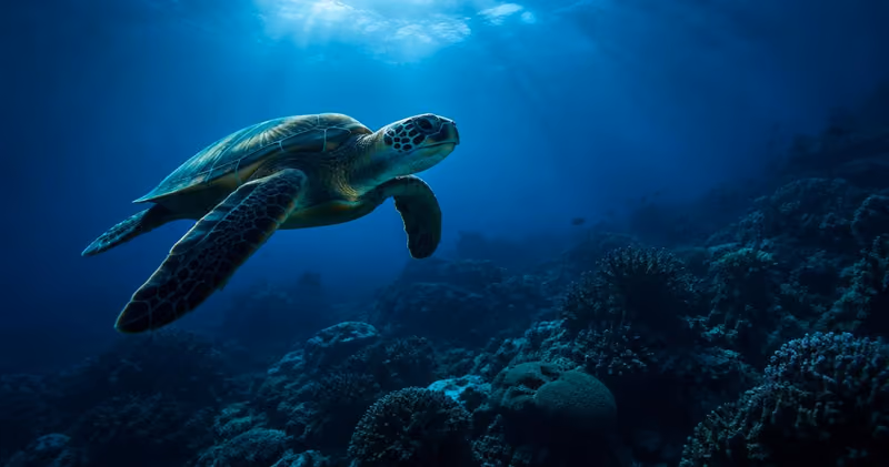 Rapport Planète Vivante 2026 : -73 % pour la faune sauvage suivie